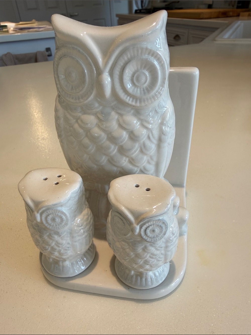 Vintage White Owl Salt and Pepper Set with Napkin Holder